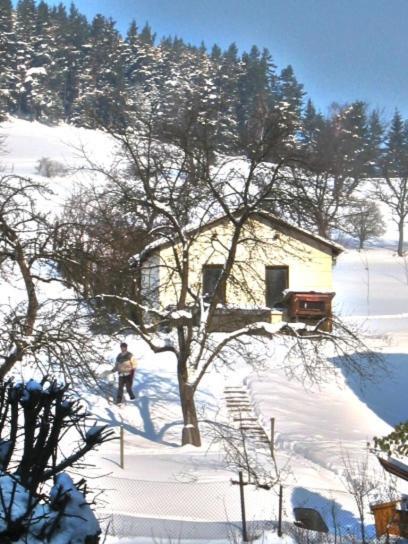 Hotel-Gasthaus Steiger Gräfenthal Exteriör bild